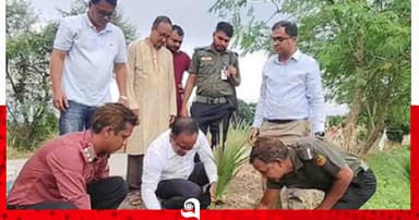 রামদাস বিলের সৌন্দর্য বাড়াতে দেড় হাজার তালগাছ রোপণ কার্যক্রম শুরু