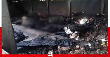 বগুড়ার শেরপুরে ভয়াবহ অগ্নিকাণ্ড, ৫ গরু ও ৭ ভেড়া পুড়ে ছাই