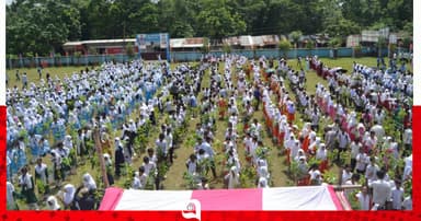 বরিশালে শিক্ষার্থীদের মাঝে ৫০ হাজার চারা বিতরণ