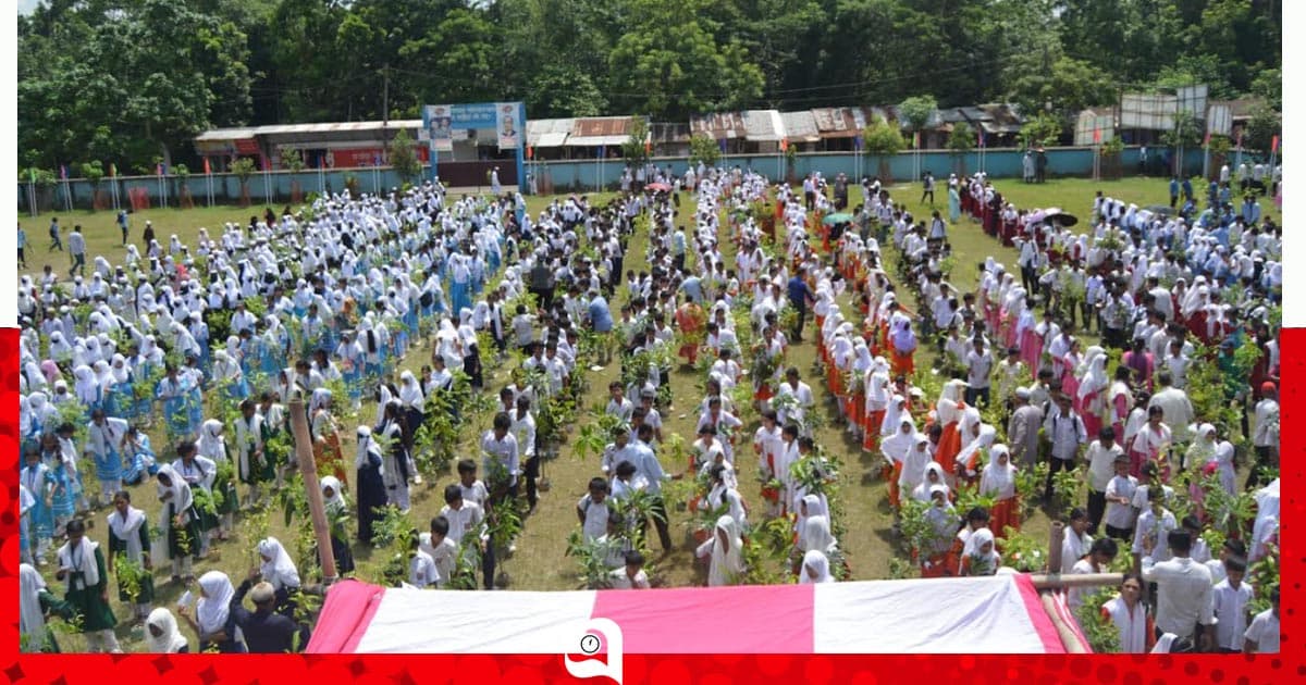 বরিশালে শিক্ষার্থীদের মাঝে ৫০ হাজার চারা বিতরণ