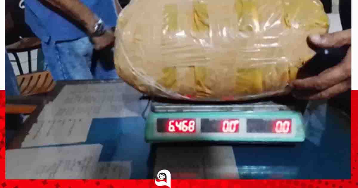তাড়াশে ৬ কেজি গাঁজাসহ দুই মাদক ব্যবসায়ী আটক, পুলিশে সোপর্দ