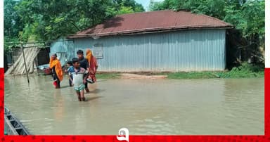 পদ্মার পানি বৃদ্ধিতে লালপুরে সাড়ে ৪ শ পরিবার পানিবন্দি