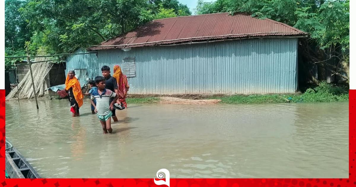 পদ্মার পানি বৃদ্ধিতে লালপুরে সাড়ে ৪ শ পরিবার পানিবন্দি
