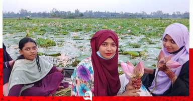 পদ্মের নৈসর্গিক সৌন্দর্যে মুগ্ধ পর্যটকেরা