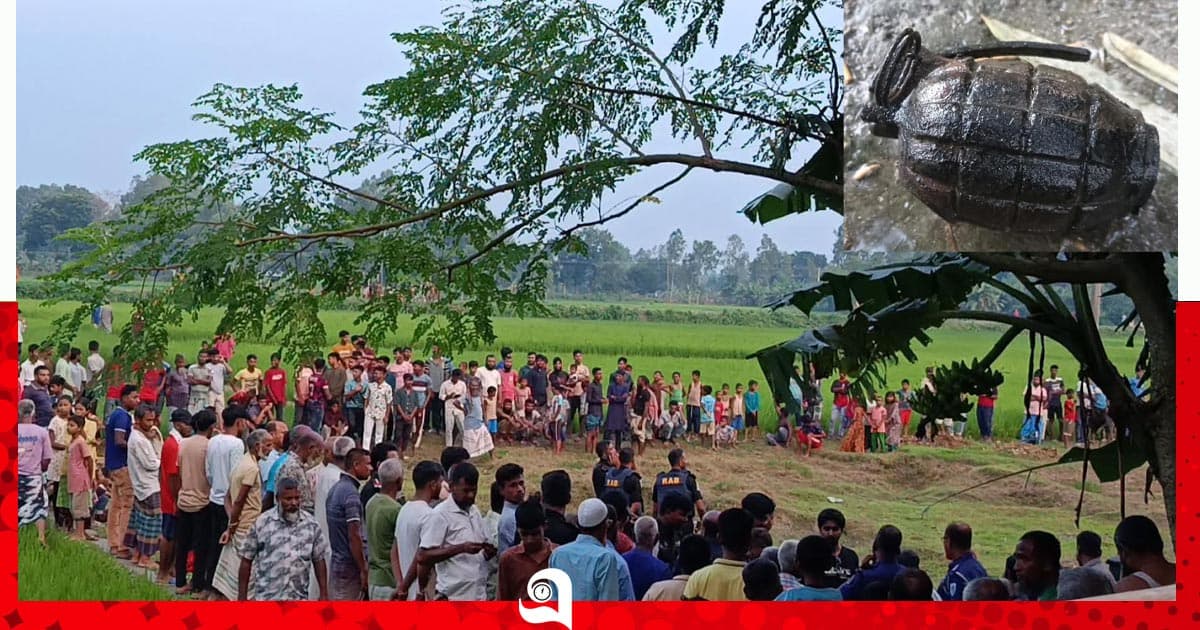 সৈয়দপুরে পুকুর থেকে সক্রিয় গ্রেনেড উদ্ধার