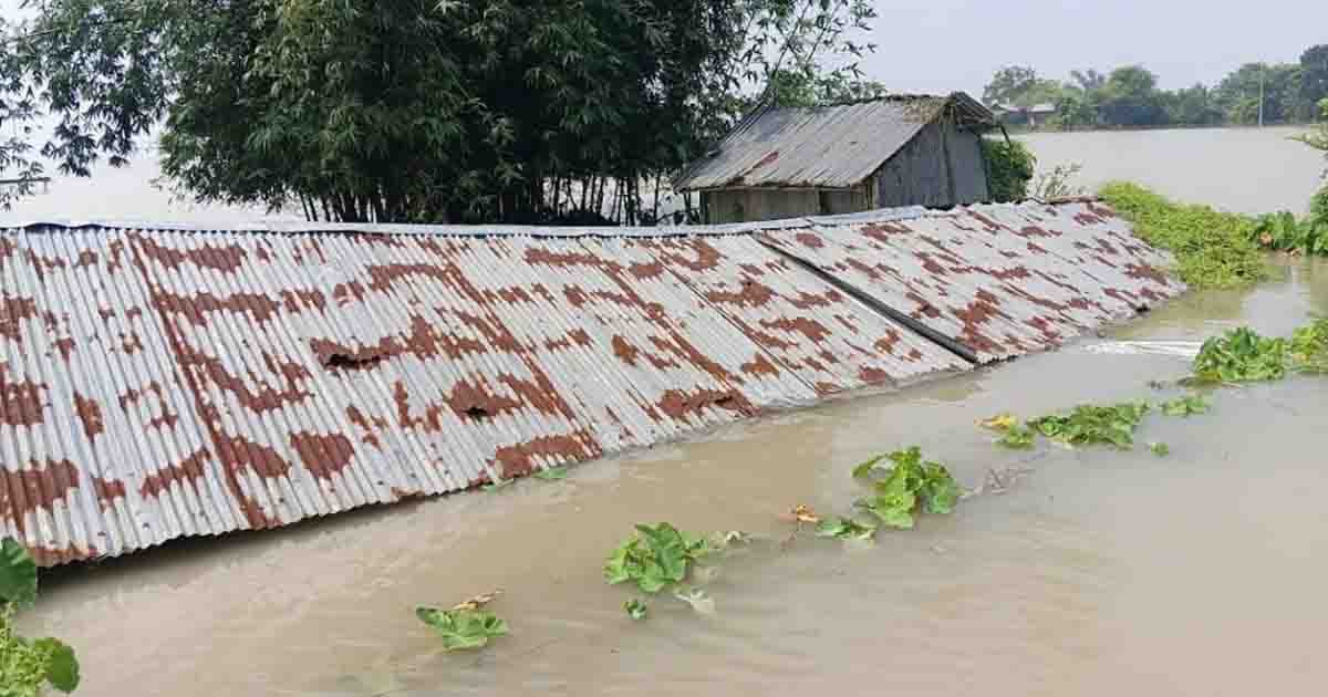 শিবগঞ্জে আড়াই হাজার পরিবার পানিবন্দী