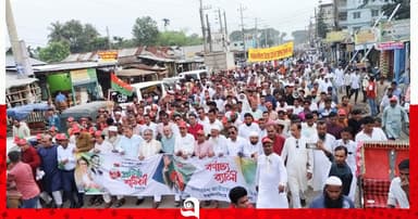 ‘আওয়ামী লীগ বিদ‍্যুৎ ও গ‍্যাস সেক্টর লুটপাট করে ধ্বংস করেছে’