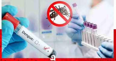 চাঁপাইনবাবগঞ্জে  প্রতি ৩ বাড়ির একটিতে এডিসের লার্ভা