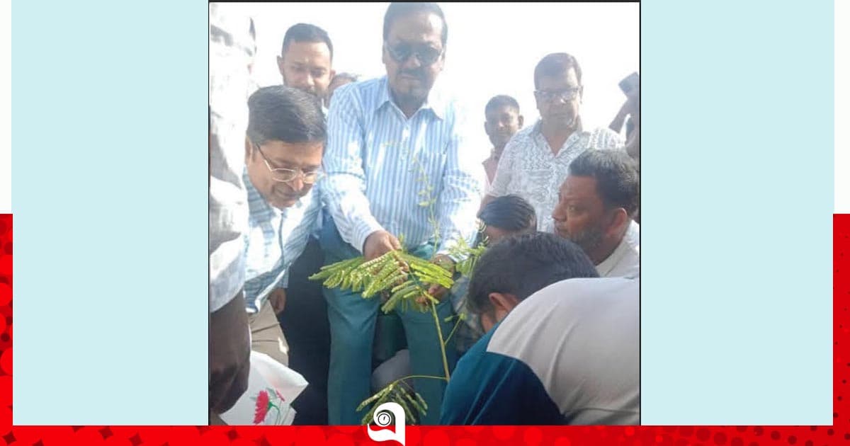 ভোলা-চরফ্যাশন মহাসড়কে বৃক্ষরোপণ কর্মসূচি উদ্বোধন করলেন স্পিকার
