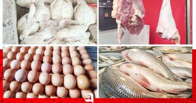 মাছ-মুরগির দামে স্বস্তি, বাড়ল ডিমের দাম