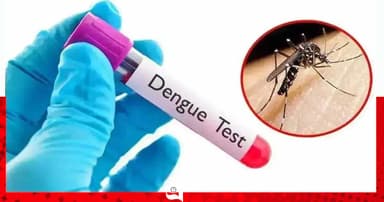 ডেঙ্গুতে আরও ৬ মৃত্যু