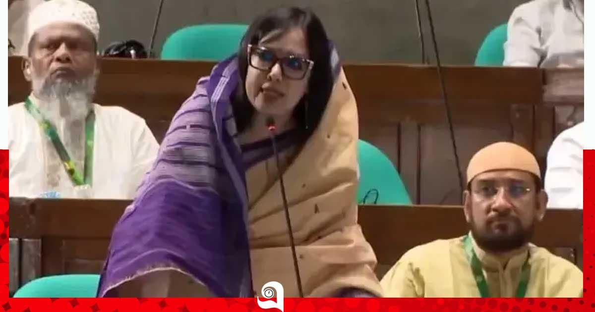 বিএনপি ক্ষমতায় এলে দুর্নীতি-বিদ্যুৎ সংকট হবে না, এটা হতে পারে না: রুমিন ফারহানা