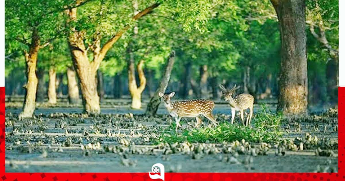 পর্যটনে বিশ্ব এগোচ্ছে, সম্ভাবনার নতুন দুয়ার বাংলাদেশেও