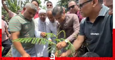 ব্রাহ্মণবাড়িয়ায় যুবদলের বৃক্ষরোপণ কর্মসূচির উদ্বোধন