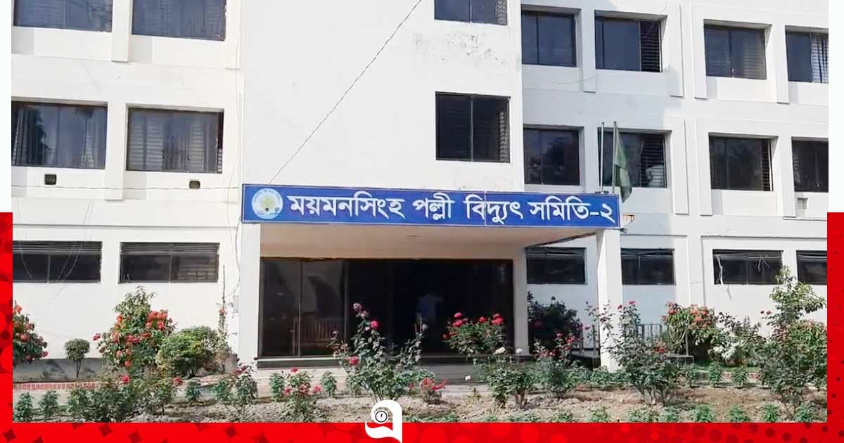 ভালুকায় বিদ্যুৎস্পৃষ্টে ২ ভাই নিহত