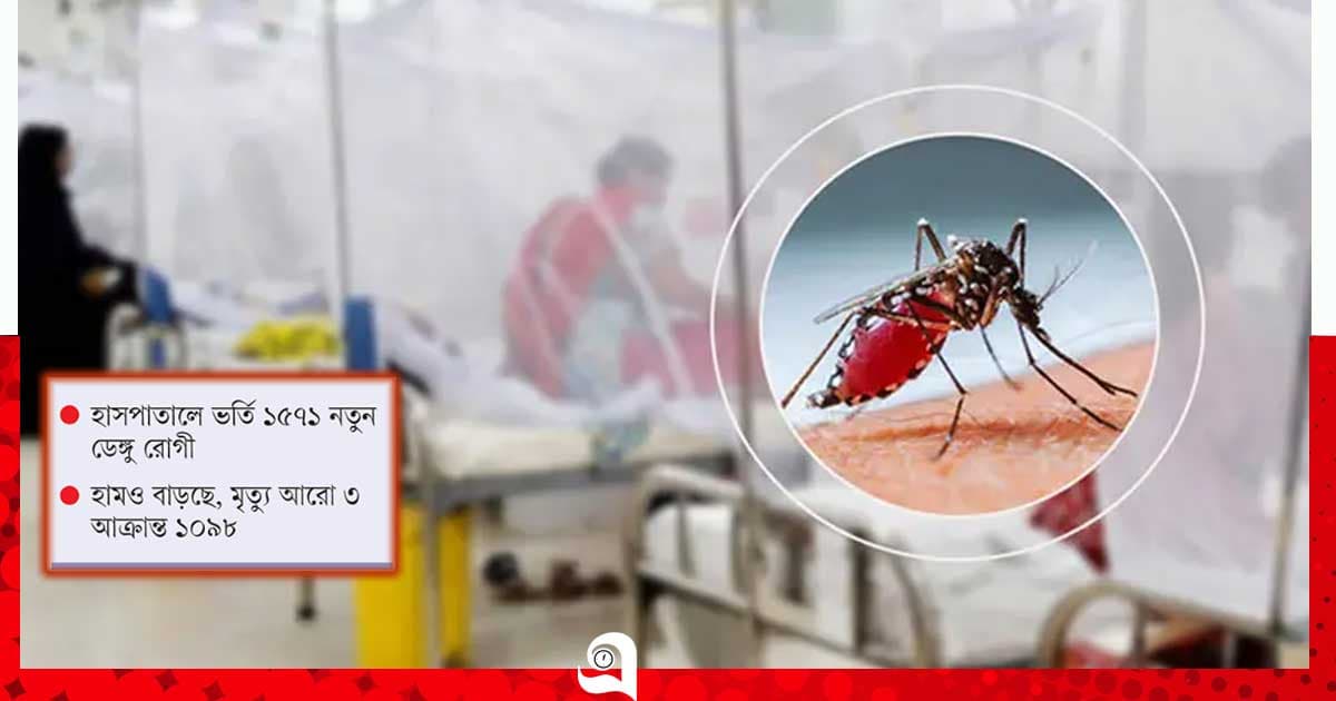 মশার কাছে হার