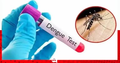 ডেঙ্গুতে প্রাণ গেল আরও ৬ জনের