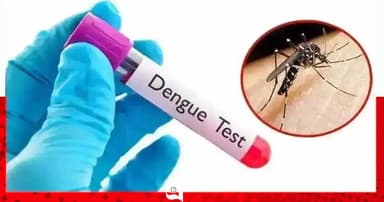 ডেঙ্গুতে প্রাণ গেল আরও ২ জনের