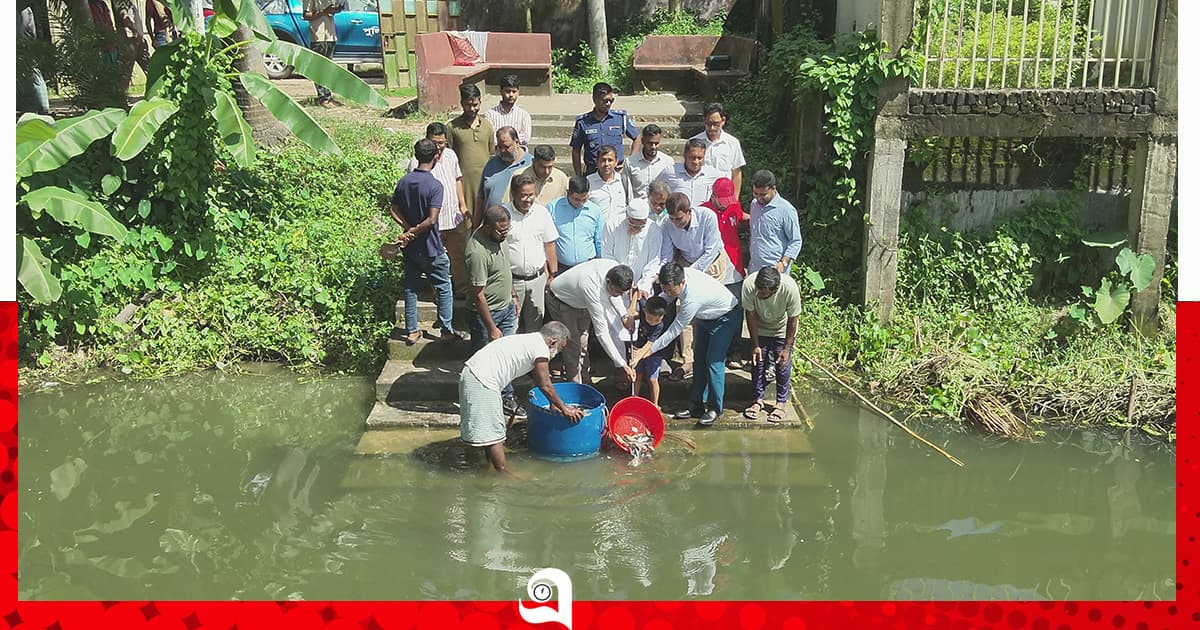 রাউজানে বিভিন্ন জলাশয়ে মাছের পোনা অবমুক্ত