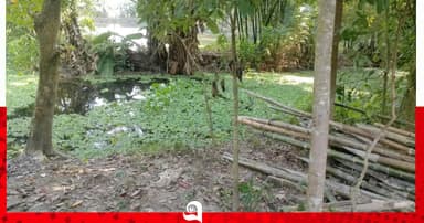 প্রশাসনের হস্তক্ষেপে দখলমুক্ত হলো সরকারি খাল