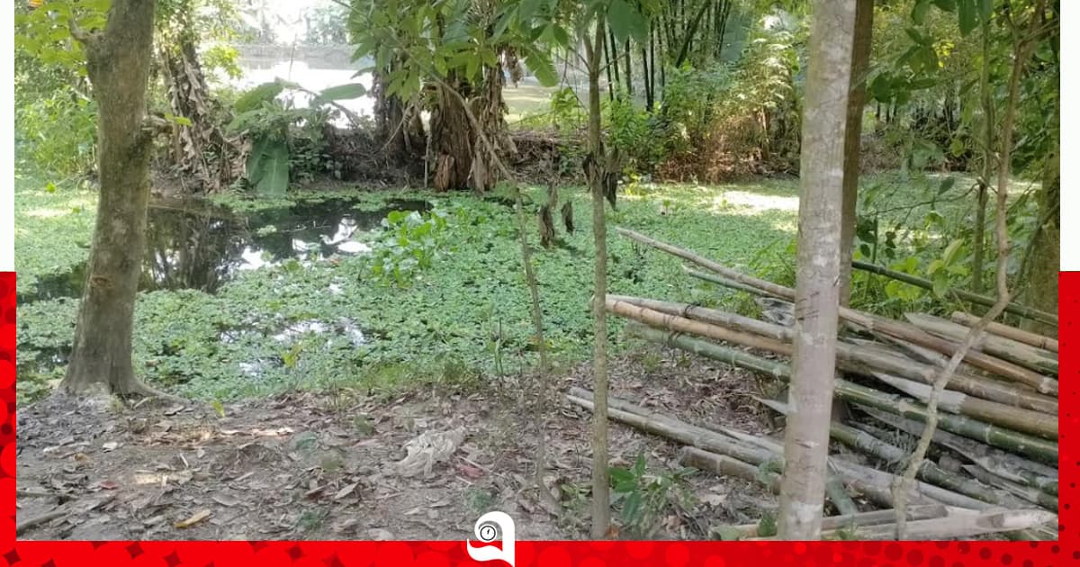 প্রশাসনের হস্তক্ষেপে দখলমুক্ত হলো সরকারি খাল