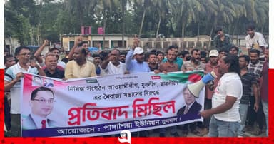 নৈরাজ্যের প্রতিবাদে দুমকিতে যুবদলের মিছিল