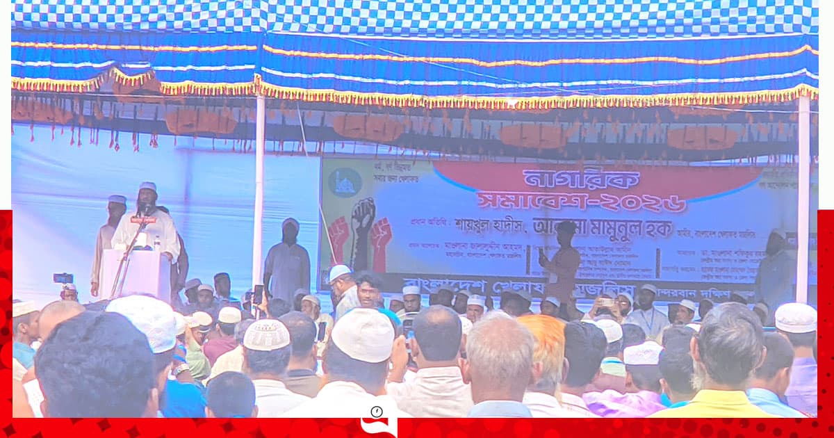 সরকার গণভোটের রায় ও জুলাই সনদ বাস্তবায়নে টালবাহানা শুরু করেছে: মামুনুল হক