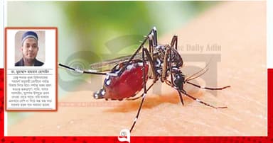 ডেঙ্গু: সচেতনতার অভাবে ঝুঁকি বাড়ছে