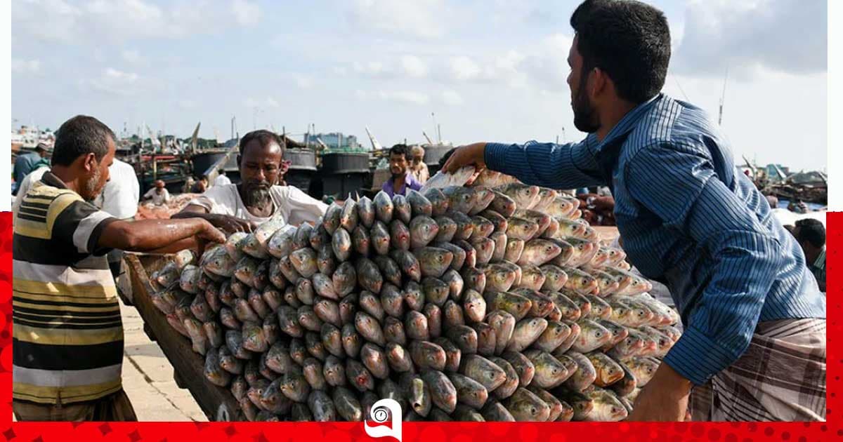 ৮ অক্টোবর থেকে ২২ দিন ধরা যাবে না ইলিশ