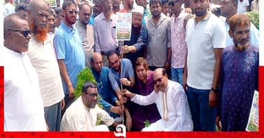 বেনাপোলে বিএনপির বৃক্ষরোপণ কর্মসূচি অনুষ্ঠিত