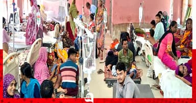 শার্শা হাসপাতালে জনবল সংকটে ডেঙ্গু চিকিৎসা কার্যক্রম ব্যাহত