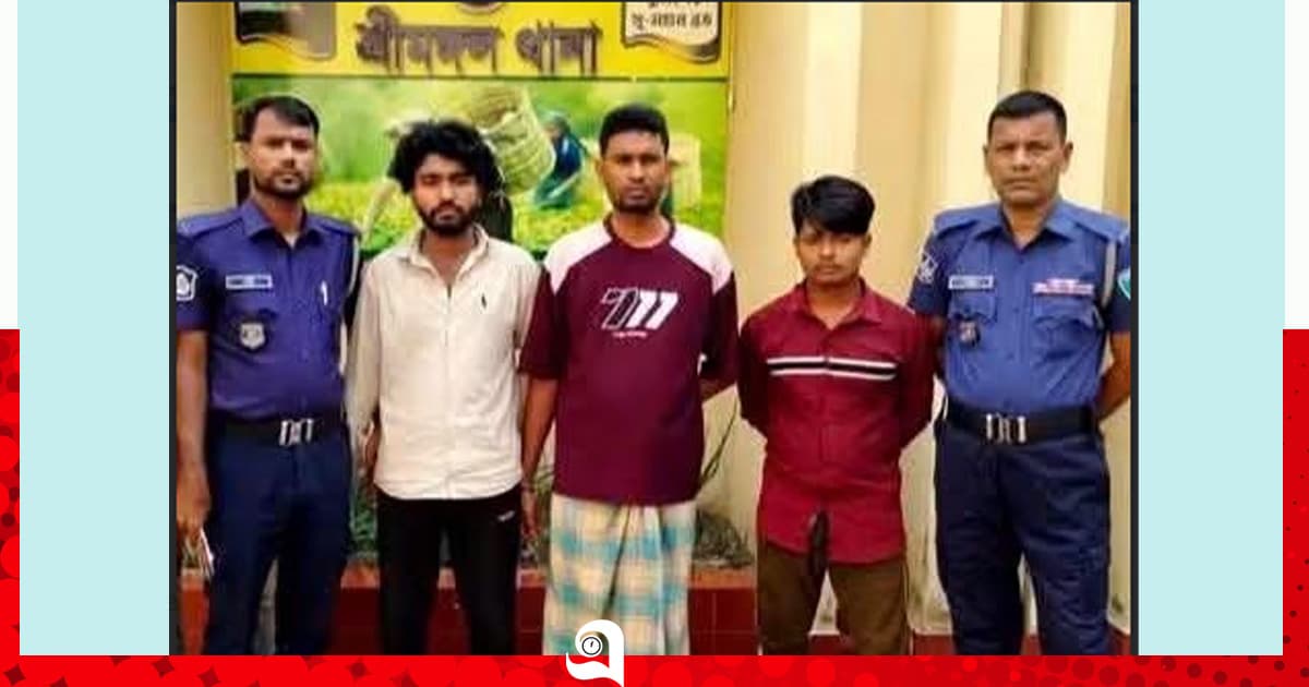 শ্রীমঙ্গলে কিশোরীকে অপহরণ ও দলবদ্ধ ধর্ষণের অভিযোগ, গ্রেপ্তার ৩