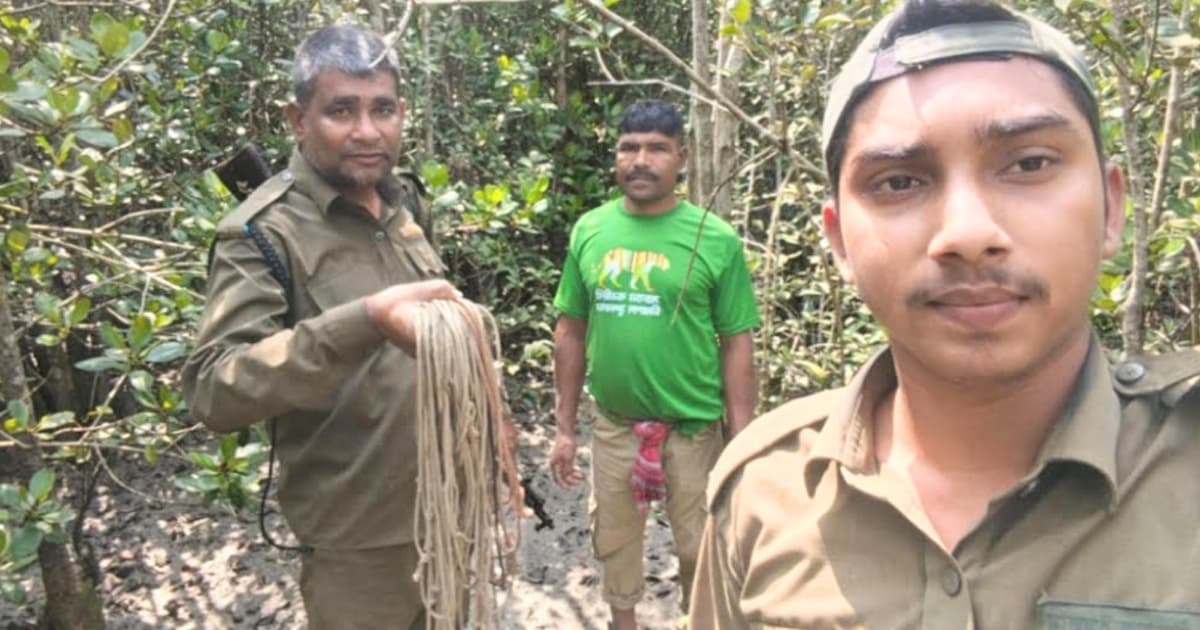 সুন্দরবনে হরিণ শিকারের ২৫ টি ফাঁদ উদ্ধার