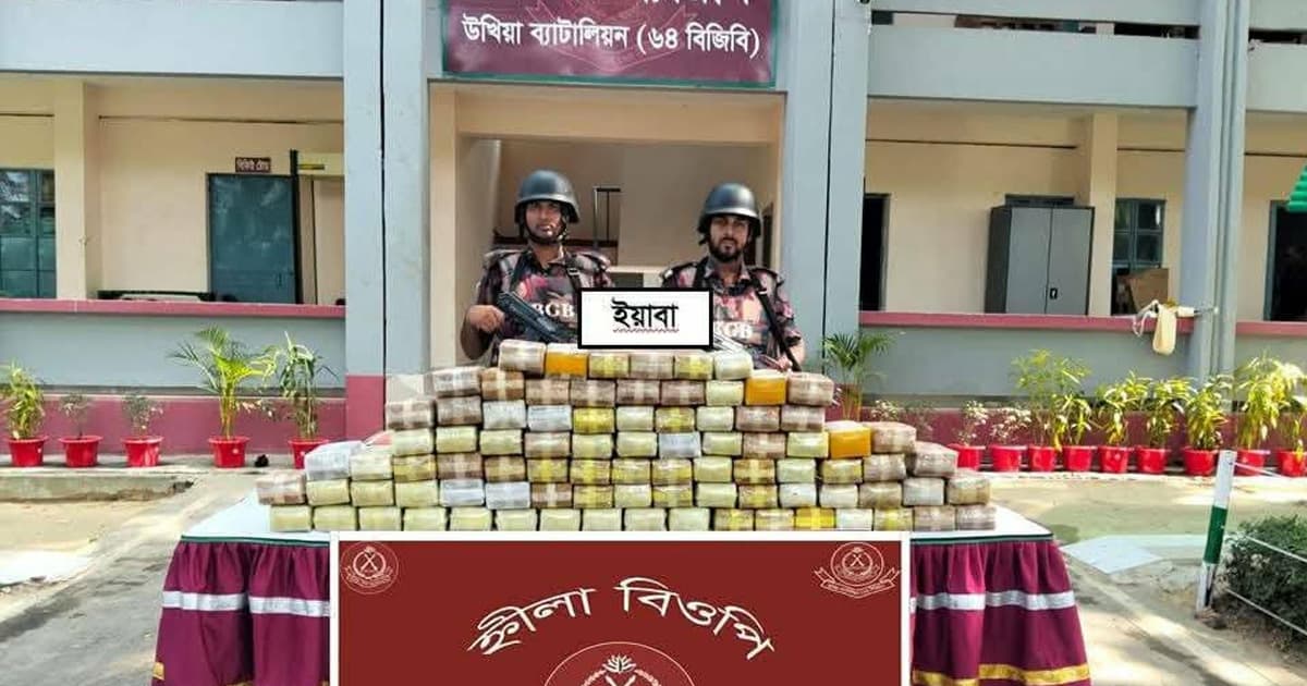 টেকনাফে বিজিবির অভিযানে ৮ লাখের বেশি ইয়াবা উদ্ধার