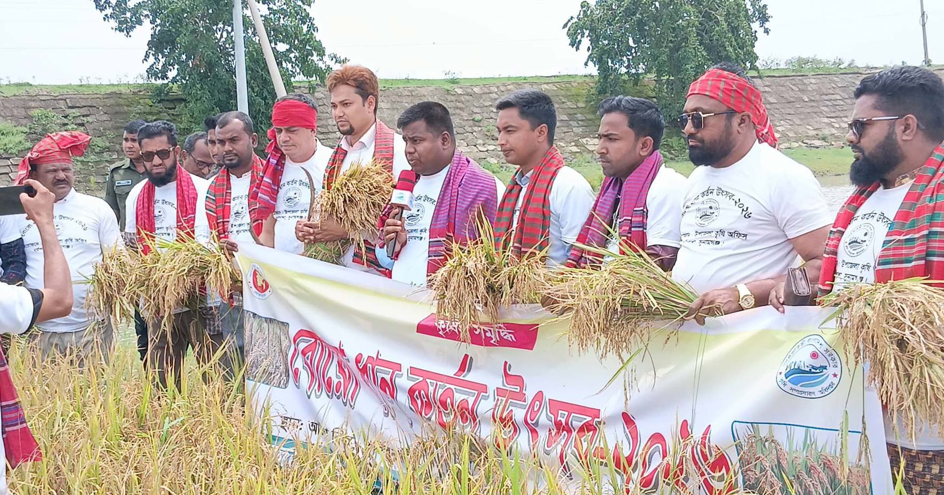 ধর্মপাশায় শুরু ফসল কাটার উৎসব