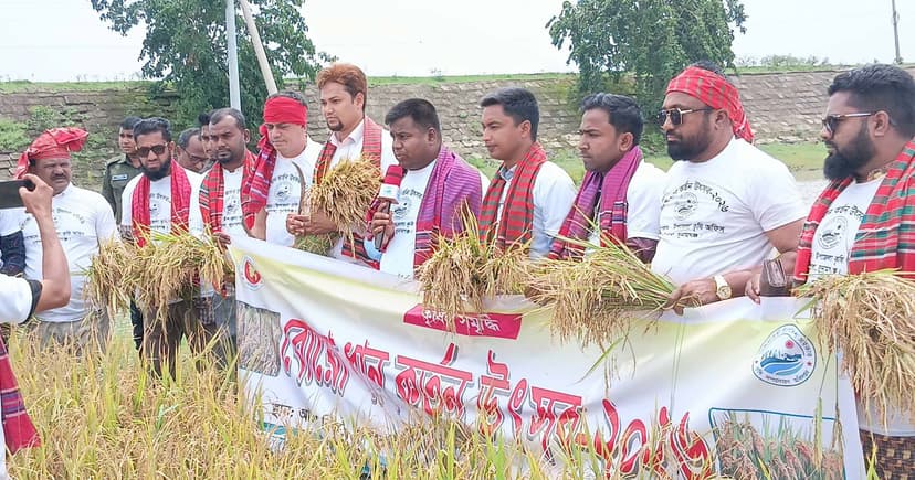 ধর্মপাশায় শুরু ফসল কাটার উৎসব