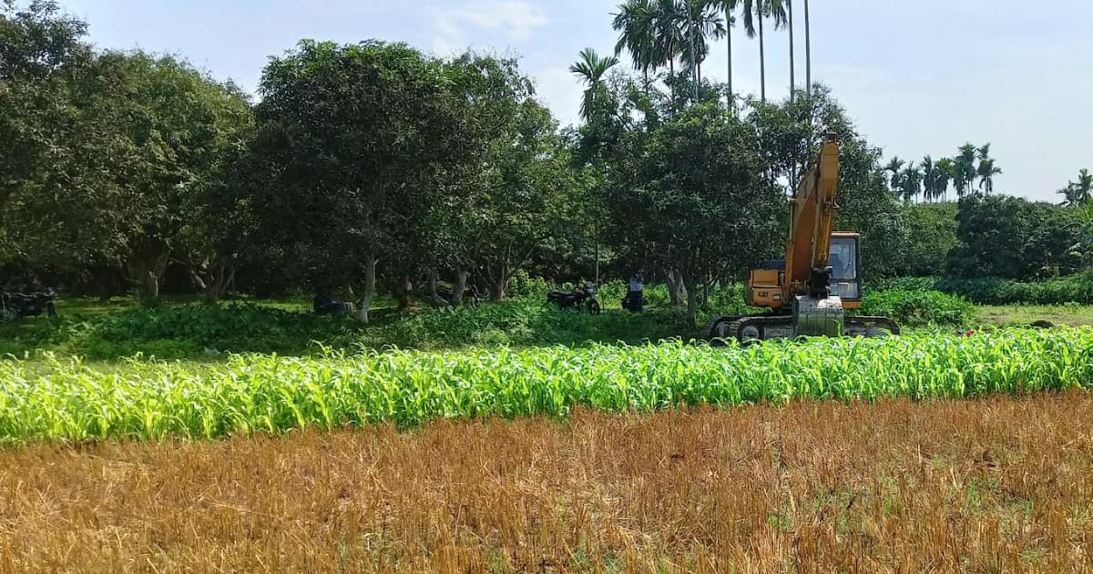 গুরুদাসপুরে বিএনপি কর্মীদের দুই গ্রুপে সংঘর্ষ