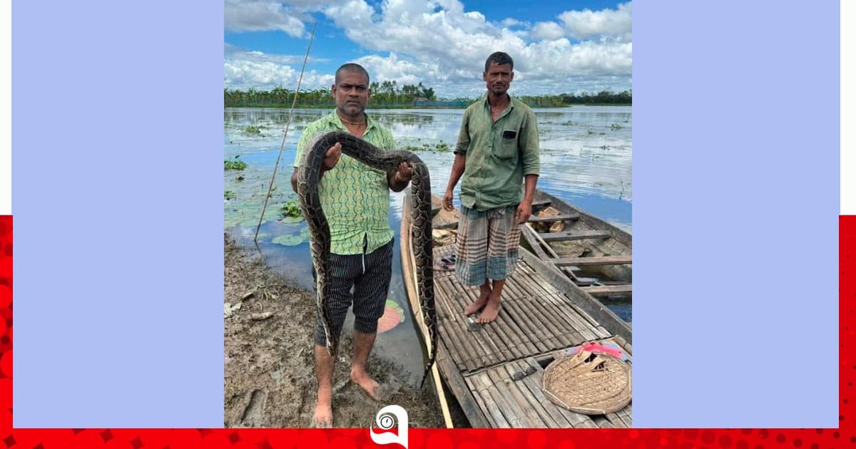 মুমূর্ষু অজগর উদ্ধার, হাসপাতালে নেওয়ার আগেই মৃত্যু