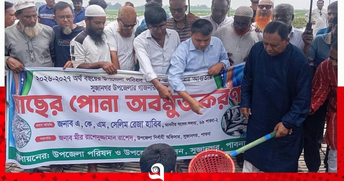 সুজানগরের গাজনার বিলে মাছের পোনা অবমুক্ত