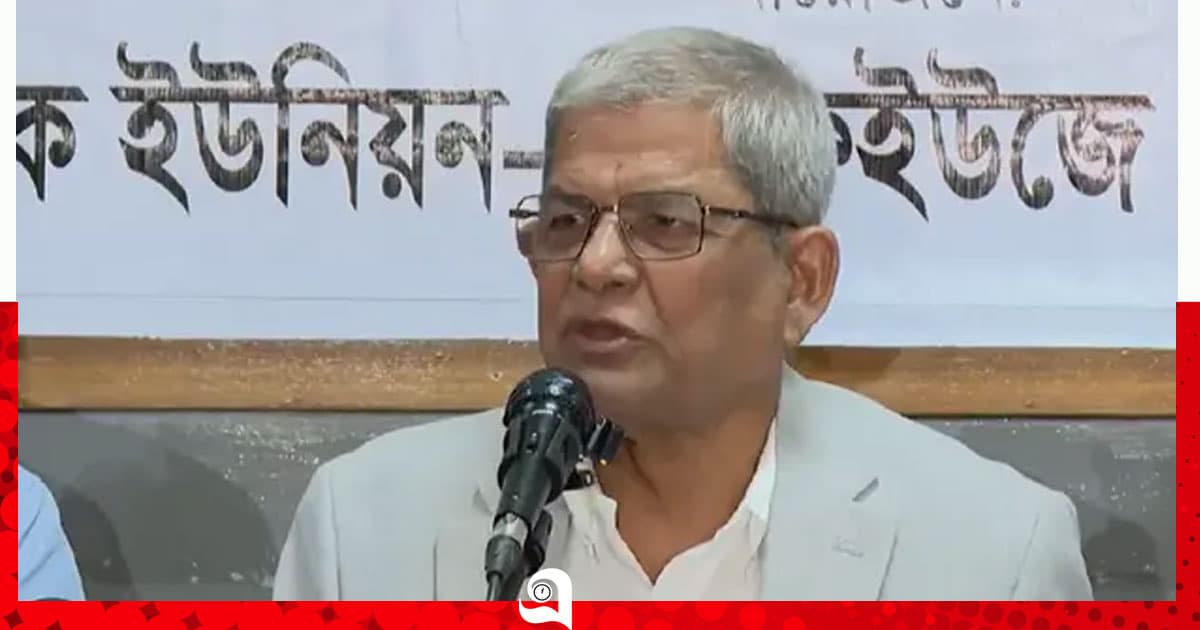 গণমাধ্যমে সরকারের কোনো ধরনের হস্তক্ষেপ নেই: মির্জা ফখরুল