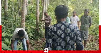 নেছারাবাদে ‘আমাদের দৈহারী’র সড়ক পরিচ্ছন্নতা অভিযান