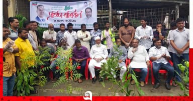 স্বেচ্ছাসেবক দলের প্রতিষ্ঠাবার্ষিকী উপলক্ষে নেছারাবাদে বৃক্ষরোপণ কর্মসূচি
