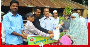 পাবনায় ফলদ গাছের চারা বিতরণ