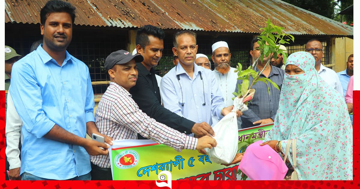 পাবনায় ফলদ গাছের চারা বিতরণ