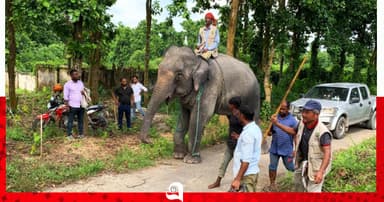 দুই বছর পর ঘরে ফিরল সম্রাট-নিহারকলি
