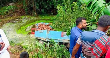 শিশুকে বাঁচাতে গিয়ে ট্রাকের ধাক্কায় প্রাণ গেল বৃদ্ধার