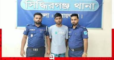 আপন বোনকে ধর্ষণের অভিযোগে ভাই গ্রেপ্তার