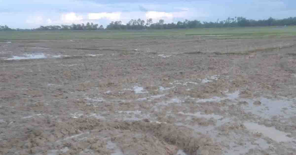 জৈন্তাপুরে আদালতের নিষেধাজ্ঞা অমান্য করে জমিতে হালচাষ, সংঘাতের শঙ্কা