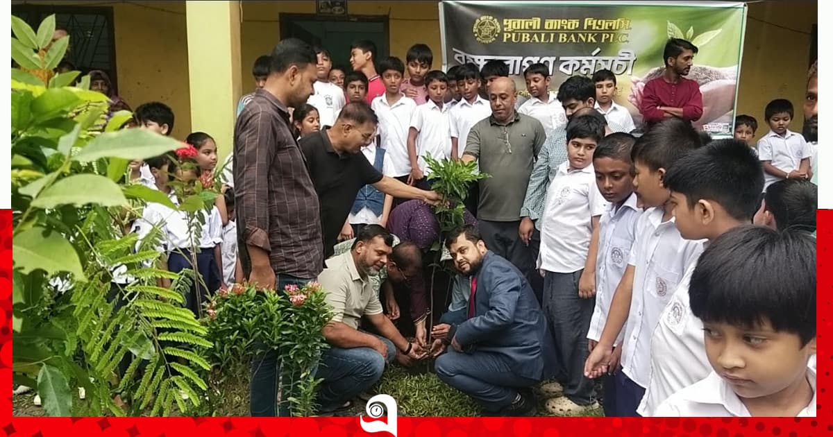 নেছারাবাদে পূবালী ব্যাংকের উদ্যোগে বৃক্ষরোপণ কর্মসূচি