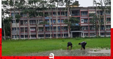 মাঠে কচু গাছ লাগিয়ে শিক্ষার্থীদের প্রতীকী প্রতিবাদ
